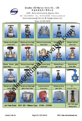 Çin Çin deniz dökme çelik valf fabrikası Tedarikçi