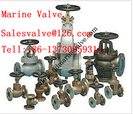 Çin CHINA MARINE VALVE DESTEKÇİ FLANGE VALVE Tedarikçi
