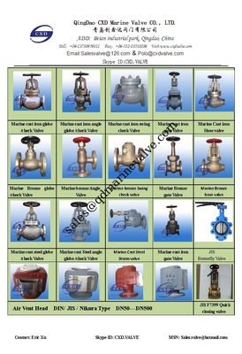 Çin deniz dökme çelik valf fabrikası Tedarikçi