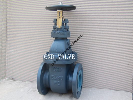 IMPA 750828 F7364 10K250 Dökme Demir Kapı Valfi 10&quot; Tedarikçi